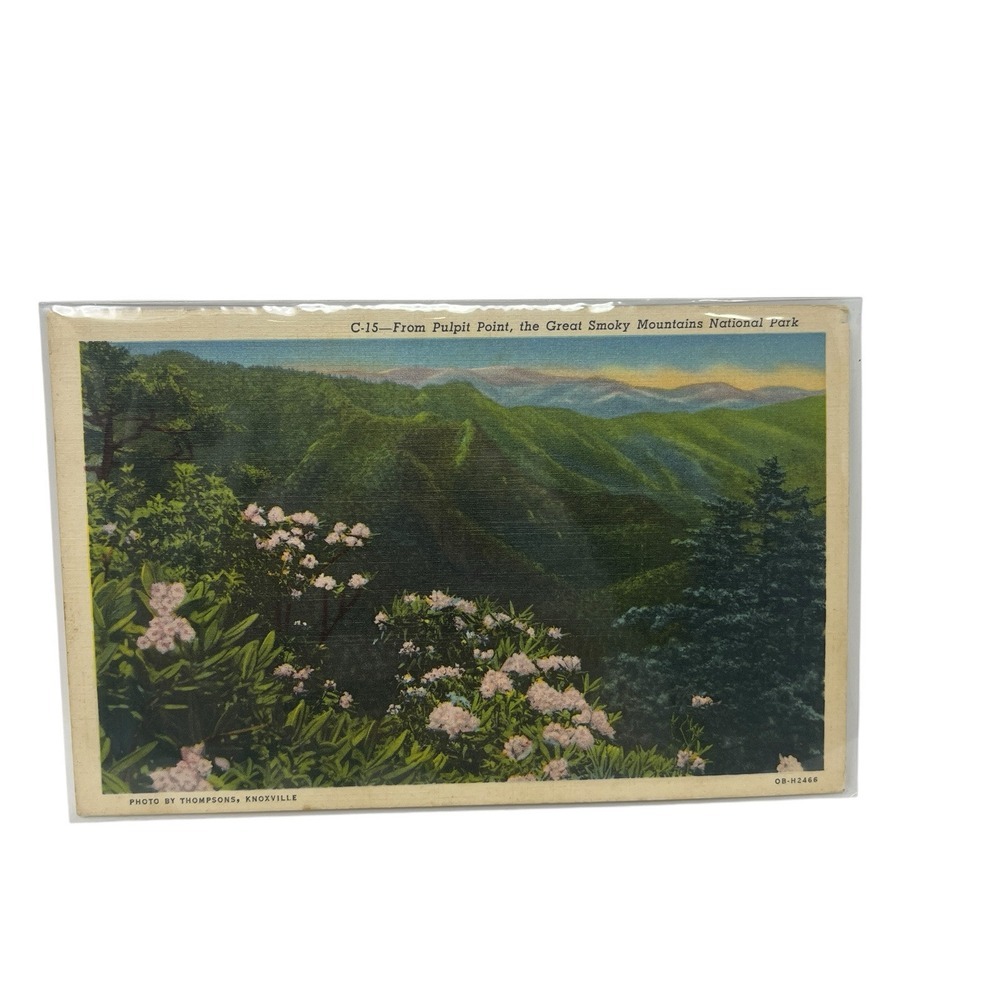 Pulpit Point‎ Great Smoky Mountains Nat. Park Curt Teich Vintage Linen Postcard